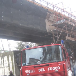 Savona, gabbiano in difficoltà al porto soccorso dai vigili del fuoco: il ringraziamento dell'Enpa