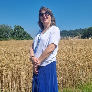 Estate e campi di grano, le spighe dorate danno spettacolo Estate e campi di grano, le spighe dorate danno spettacolo
