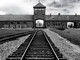 Gli studenti liguri visitano i lager nazisti