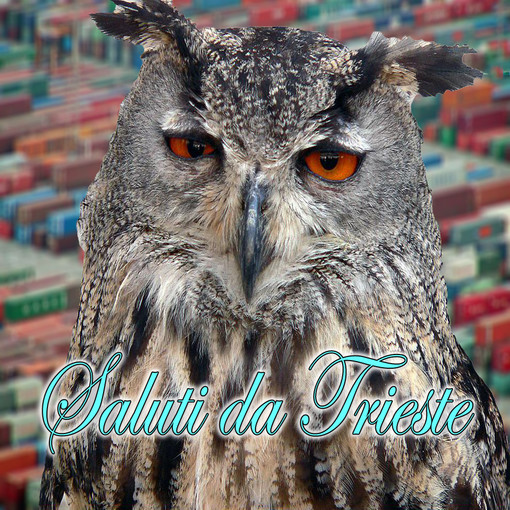 Ciao Maersk, senza rimpianti Ciao Maersk, senza rimpianti