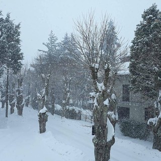 La Val Bormida si sveglia sotto la neve. Ecco le "contromisure" (FOTO e VIDEO)