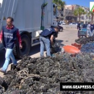 Tutta salute: Taranto, otto tonnellate di mitili sequestrati