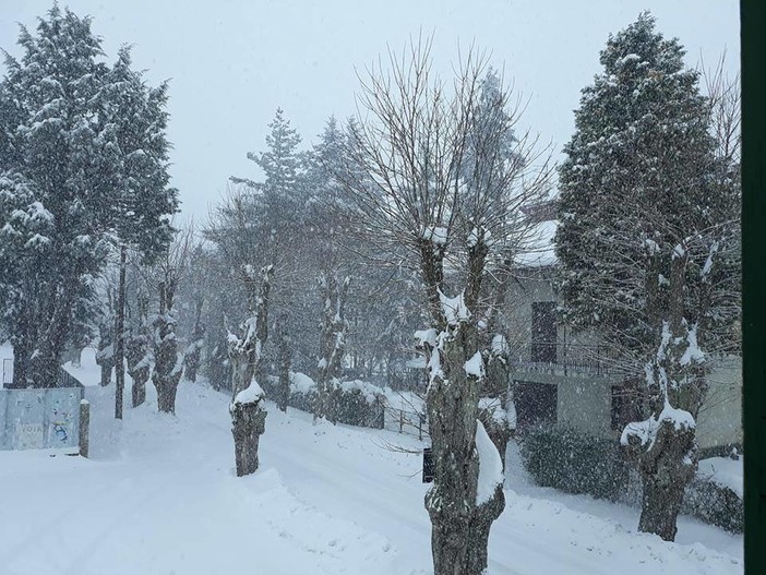La Val Bormida si sveglia sotto la neve. Ecco le "contromisure" (FOTO e VIDEO) La Val Bormida si sveglia sotto la neve. Ecco le "contromisure" (FOTO e VIDEO)