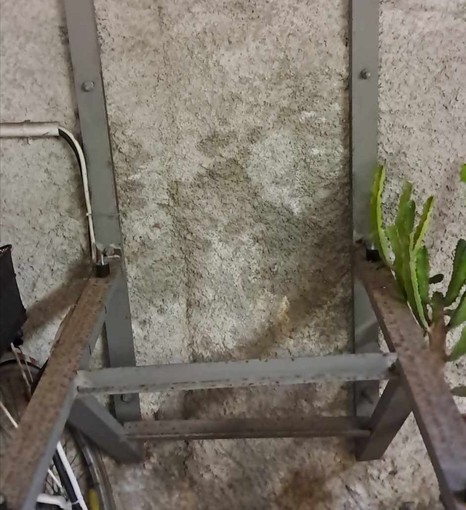 Savona, rubato un generatore di corrente in un condominio: "Chi lo ha preso si deve vergognare"
