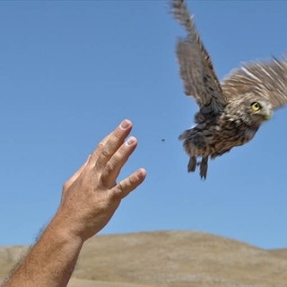 Savona, Canavese lascia il testimone a Gianluigi Miazza, cambio della guardia all’Autorità Portuale Savona, Canavese lascia il testimone a Gianluigi Miazza, cambio della guardia all’Autorità Portuale