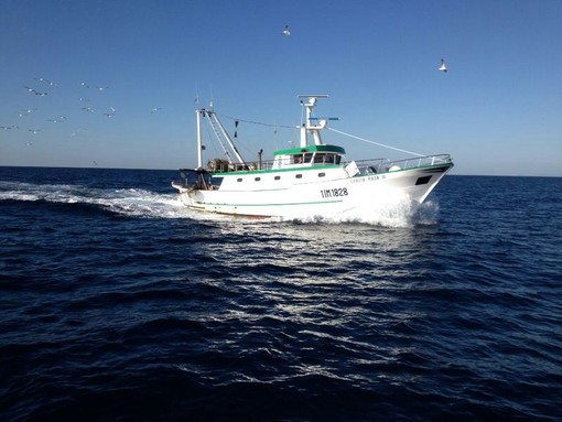 Legacoop: "Fondi per il fermo pesca bloccati da 2 anni, il Ministero ci dia una risposta"