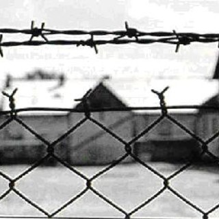 Giornata della Memoria: le frasi dei lettori