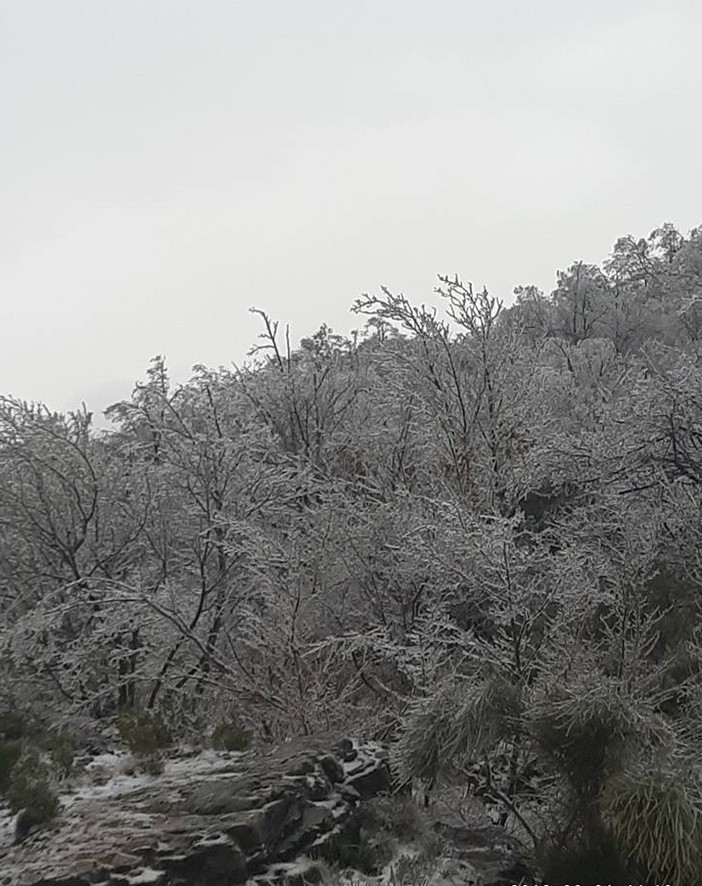 Val Bormida, il risveglio ghiacciato dell'Alta Valle (FOTO) Val Bormida, il risveglio ghiacciato dell'Alta Valle (FOTO)