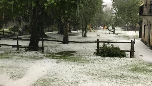 Foto scattate a Bardineto