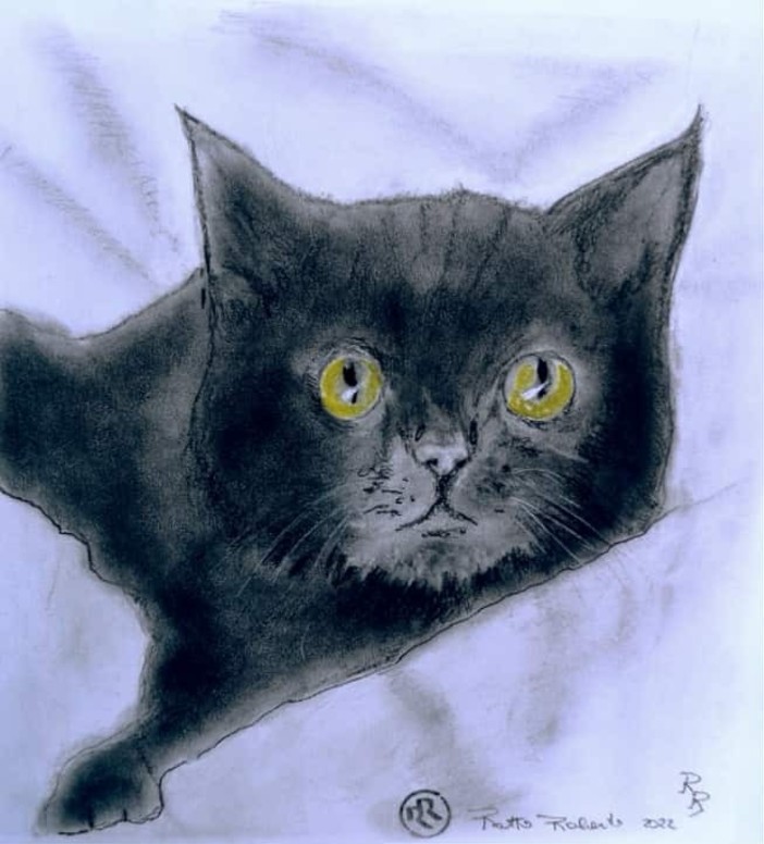 Gatto nero, opera di Roberto Ratto Gatto nero, opera di Roberto Ratto