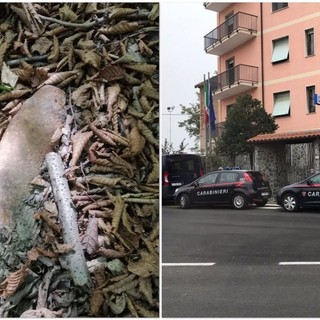 Cairo, ordigno bellico della Seconda Guerra Mondiale rinvenuto nel bosco (FOTO)