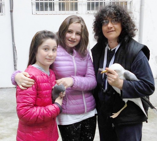 Savona, due bimbe salvano un gabbiano