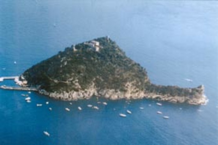 Liguria: Gallinara e Bergeggi in vetrina su Liguriadiving.it