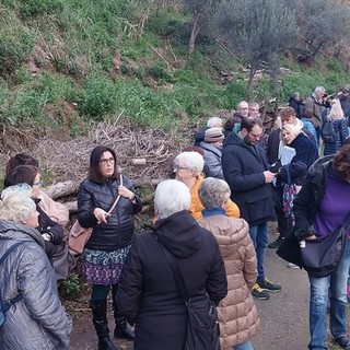 Gattile delle Albissole, si costituisce un'associazione per salvare i gatti: "Cerchiamo un terreno per non disperderli"