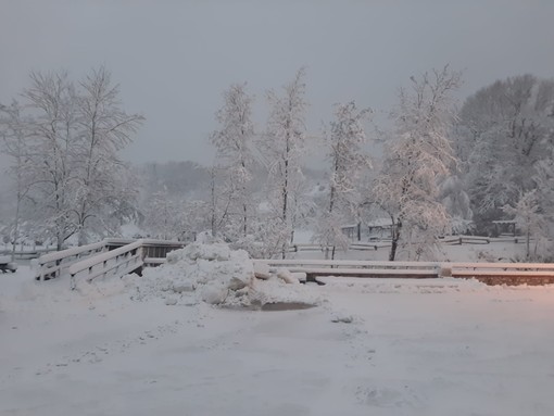 Neve a Giusvalla: blackout elettrico e alberi spezzati. A Calizzano superati i 30 cm Neve a Giusvalla: blackout elettrico e alberi spezzati. A Calizzano superati i 30 cm
