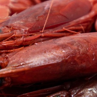 Confsal Pesca: "Bene non paralizzare le imprese ittiche liguri e comunicare come si può continuare a lavorare in emergenza"