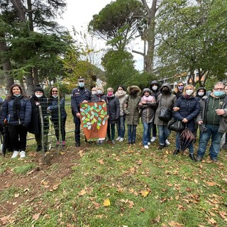 Celebrata anche a Toirano la Giornata Nazionale dell’albero (FOTO) Celebrata anche a Toirano la Giornata Nazionale dell’albero (FOTO)