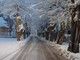Meteo, temperature rigide nel savonese: il record a Giusvalla con -12° Meteo, temperature rigide nel savonese: il record a Giusvalla con -12°