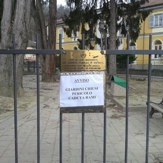 Il Comune di Cairo controlla le alberature dei giardini comunali "Bertolotti" Il Comune di Cairo controlla le alberature dei giardini comunali "Bertolotti"