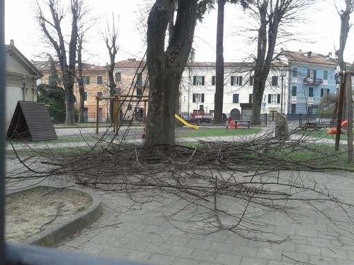 Messa in sicurezza per i giardini di piazza della Vittoria a Cairo Montenotte (FOTO) Messa in sicurezza per i giardini di piazza della Vittoria a Cairo Montenotte (FOTO)