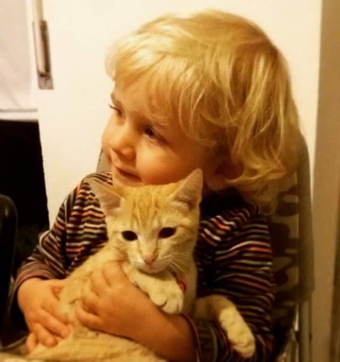 Come vivere al meglio con cani e gatti, la regione promuove lezioni gratuite Come vivere al meglio con cani e gatti, la regione promuove lezioni gratuite