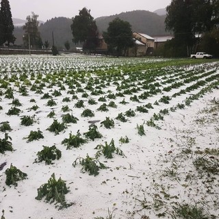 Grandinata a Calizzano e Borgio Verezzi: proposta di riconoscimento di eccezionalità degli eventi meteorologici da parte della Regione