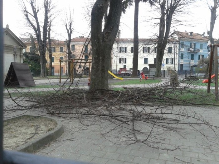 Messa in sicurezza per i giardini di piazza della Vittoria a Cairo Montenotte (FOTO) Messa in sicurezza per i giardini di piazza della Vittoria a Cairo Montenotte (FOTO)