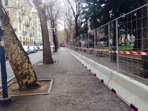 Finita la fase dei festeggiamenti, domani il giuramento di Ilaria Caprioglio alla città di Savona: ecco le promesse da mettere in atto Finita la fase dei festeggiamenti, domani il giuramento di Ilaria Caprioglio alla città di Savona: ecco le promesse da mettere in atto