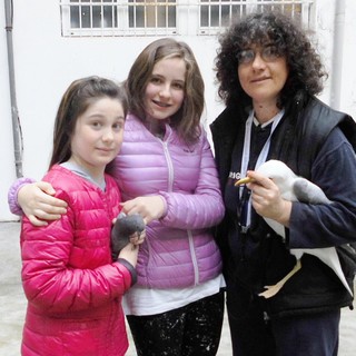 Savona, due bimbe salvano un gabbiano