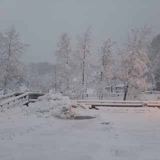 Neve a Giusvalla: blackout elettrico e alberi spezzati. A Calizzano superati i 30 cm