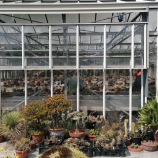 Giardini Baden Powell di Savona, inaugurazione della serra delle succulente e presentazione del catalogo dei 600 esemplari