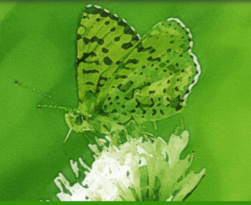 Da Andora ad EXPO, in Europa con Green Butterflies