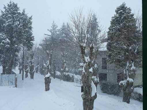 La Val Bormida si sveglia sotto la neve. Ecco le "contromisure" (FOTO e VIDEO)