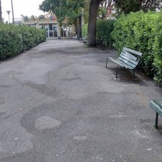 Topi nei giardini del Prolungamento di Savona, il sindaco: "Già sistemate delle esche, richiesta nuova deratizzazione" Topi nei giardini del Prolungamento di Savona, il sindaco: "Già sistemate delle esche, richiesta nuova deratizzazione"