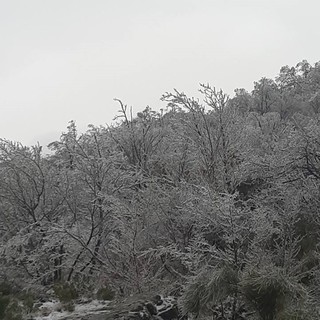 Val Bormida, il risveglio ghiacciato dell'Alta Valle (FOTO)