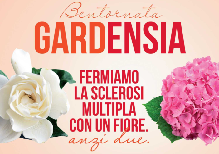 Loano, tornano le gardenie di Aism che aiutano la ricerca contro la sclerosi multipla Loano, tornano le gardenie di Aism che aiutano la ricerca contro la sclerosi multipla