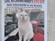 Savona, "non portatemi via": il messaggio di Harry, il gatto dell'Oltreletimbro che vive tra bar, uffici, amicizie e amato da tutti Savona, "non portatemi via": il messaggio di Harry, il gatto dell'Oltreletimbro che vive tra bar, uffici, amicizie e amato da tutti