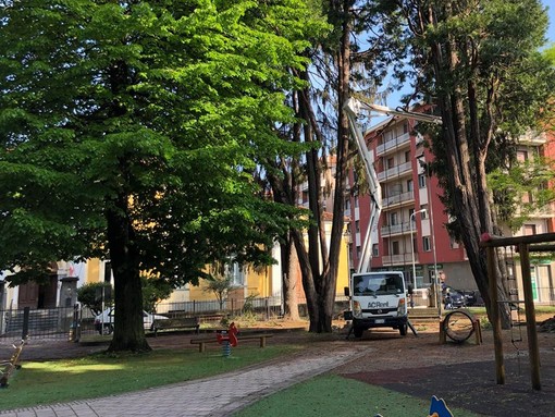 Cairo, al via la messa in sicurezza dei giardini di piazza della Vittoria (FOTO)