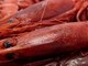Confsal Pesca: "Bene non paralizzare le imprese ittiche liguri e comunicare come si può continuare a lavorare in emergenza" Confsal Pesca: "Bene non paralizzare le imprese ittiche liguri e comunicare come si può continuare a lavorare in emergenza"
