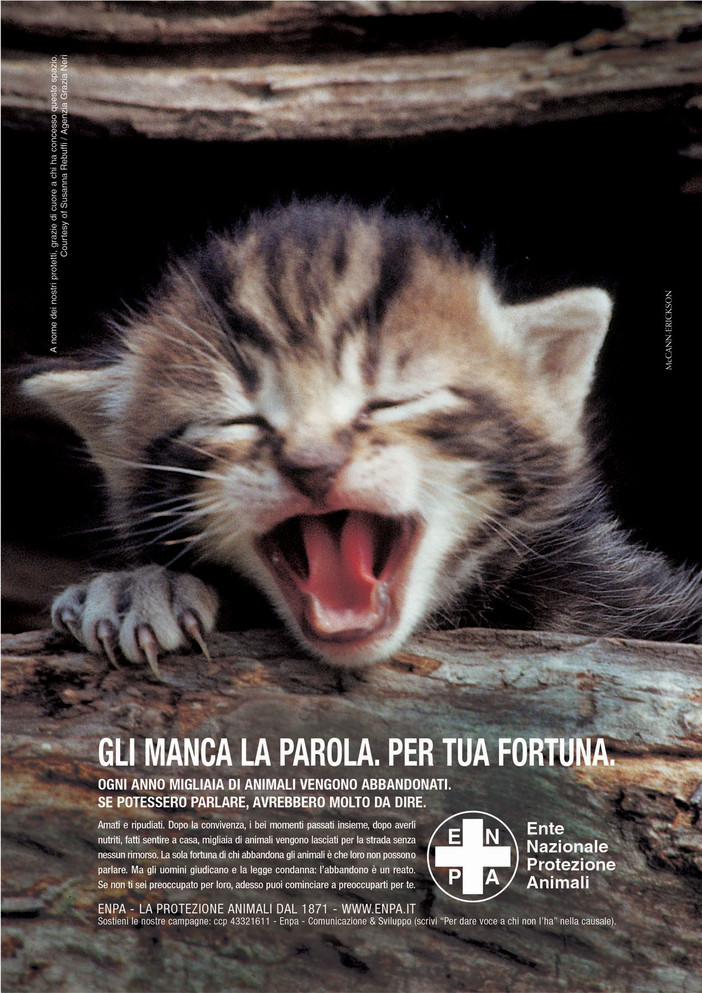 Abbandono di animali: Beccato. Abbandono di animali: Beccato.