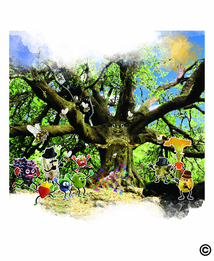 Il Mistero del Grandalbero: 'Il caso è chiuso Ispettore Cardo Gobbo!' Il Mistero del Grandalbero: 'Il caso è chiuso Ispettore Cardo Gobbo!'