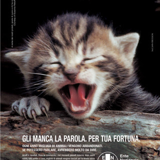 Abbandono di animali: Beccato.