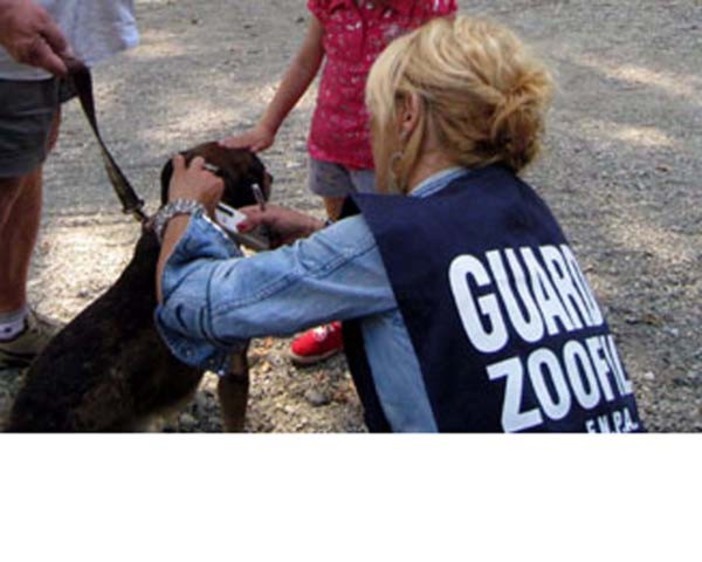 Attivi nel periodo estivo i controlli antiabbandono delle guardie zoofile della Protezione Animali Attivi nel periodo estivo i controlli antiabbandono delle guardie zoofile della Protezione Animali