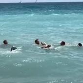 Pietra, Golden retriever tradito dal mare mosso: salvato dai bagnini della &quot;RinTin Beach&quot; (FOTO)