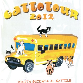 Festa del Gatto