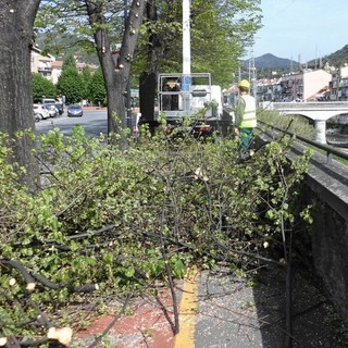 immagine di repertorio immagine di repertorio