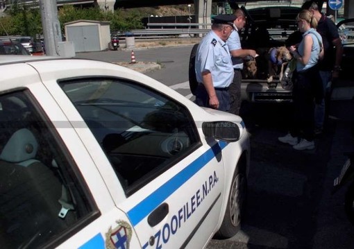 Abbandono di cani e gatti, in calo nel savonese da 20 anni: aumentano le rinunce e le consegne ai canili Abbandono di cani e gatti, in calo nel savonese da 20 anni: aumentano le rinunce e le consegne ai canili