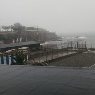 “Macaia” entra nel vocabolario italiano, ma fu Paolo Conte a rendere il termine “nazionale”