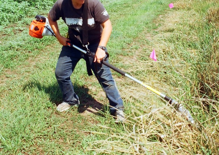 Da video operatore a giardiniere, l'appello del savonese Gabriele messo in ginocchio dalle chiusure dei teatri Da video operatore a giardiniere, l'appello del savonese Gabriele messo in ginocchio dalle chiusure dei teatri