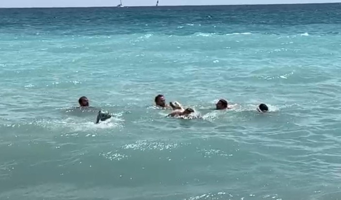 Pietra, Golden retriever tradito dal mare mosso: salvato dai bagnini della "RinTin Beach" (FOTO) Pietra, Golden retriever tradito dal mare mosso: salvato dai bagnini della "RinTin Beach" (FOTO)